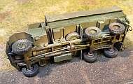 gecko/reg72003/06.jpg