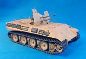panther/AA/20mm/01.jpg